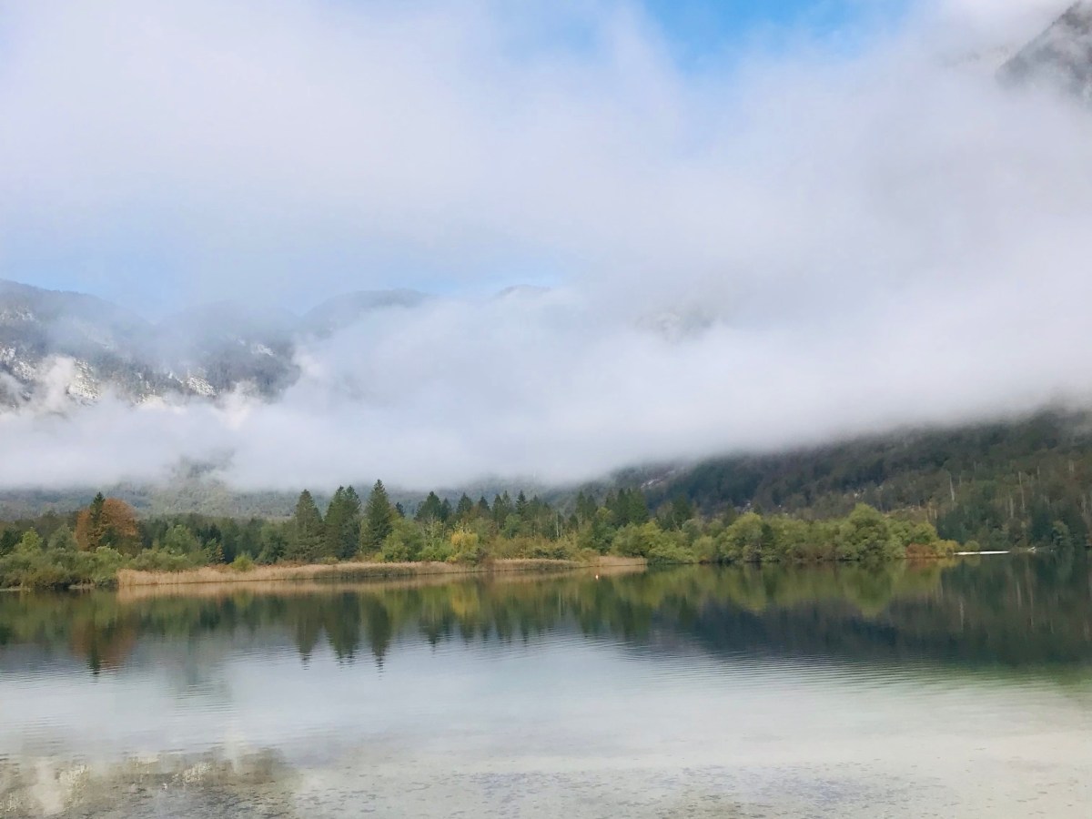 Premier dépaysement