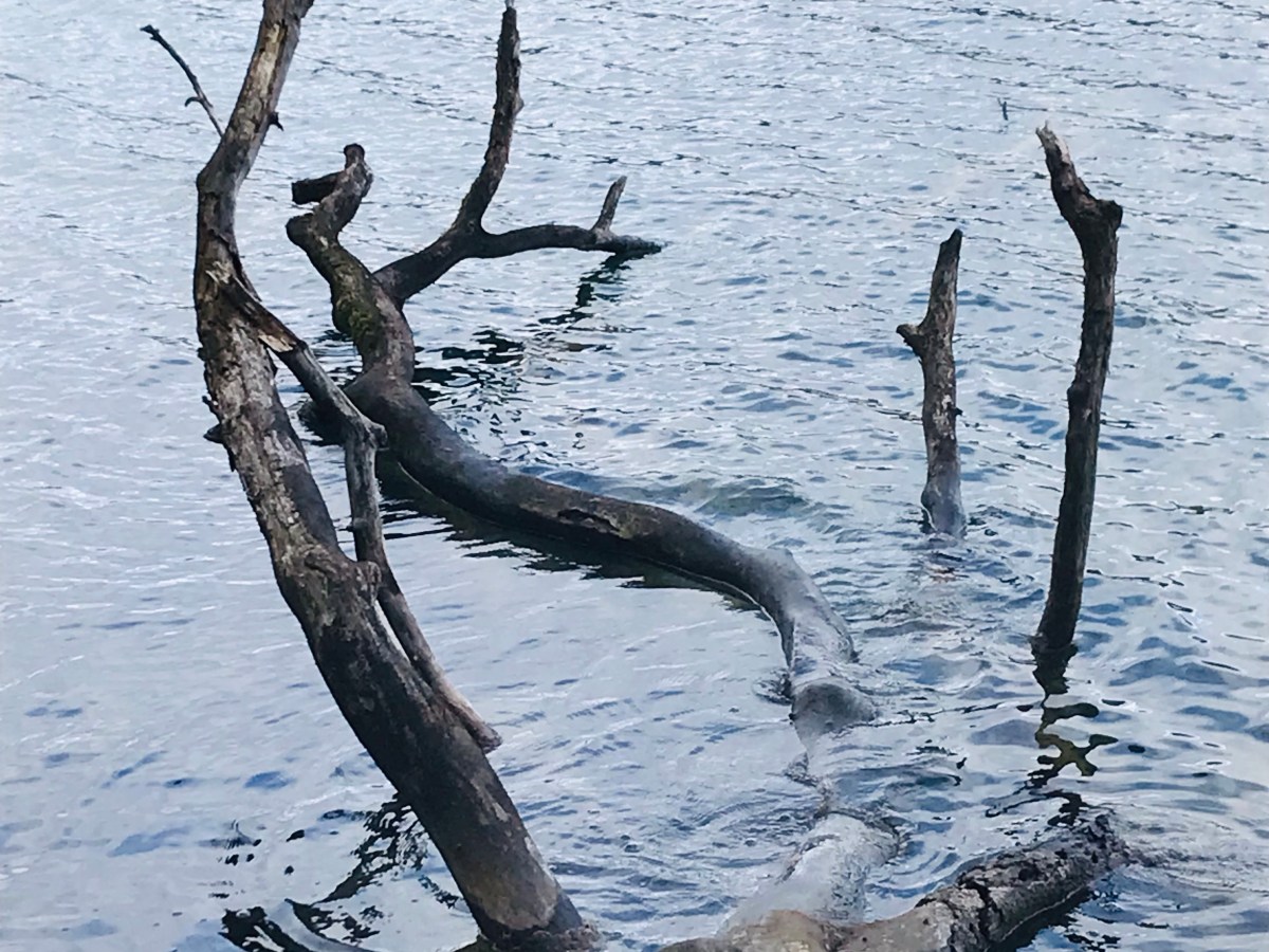 Dans le voyage&nbsp;d&rsquo;autres.