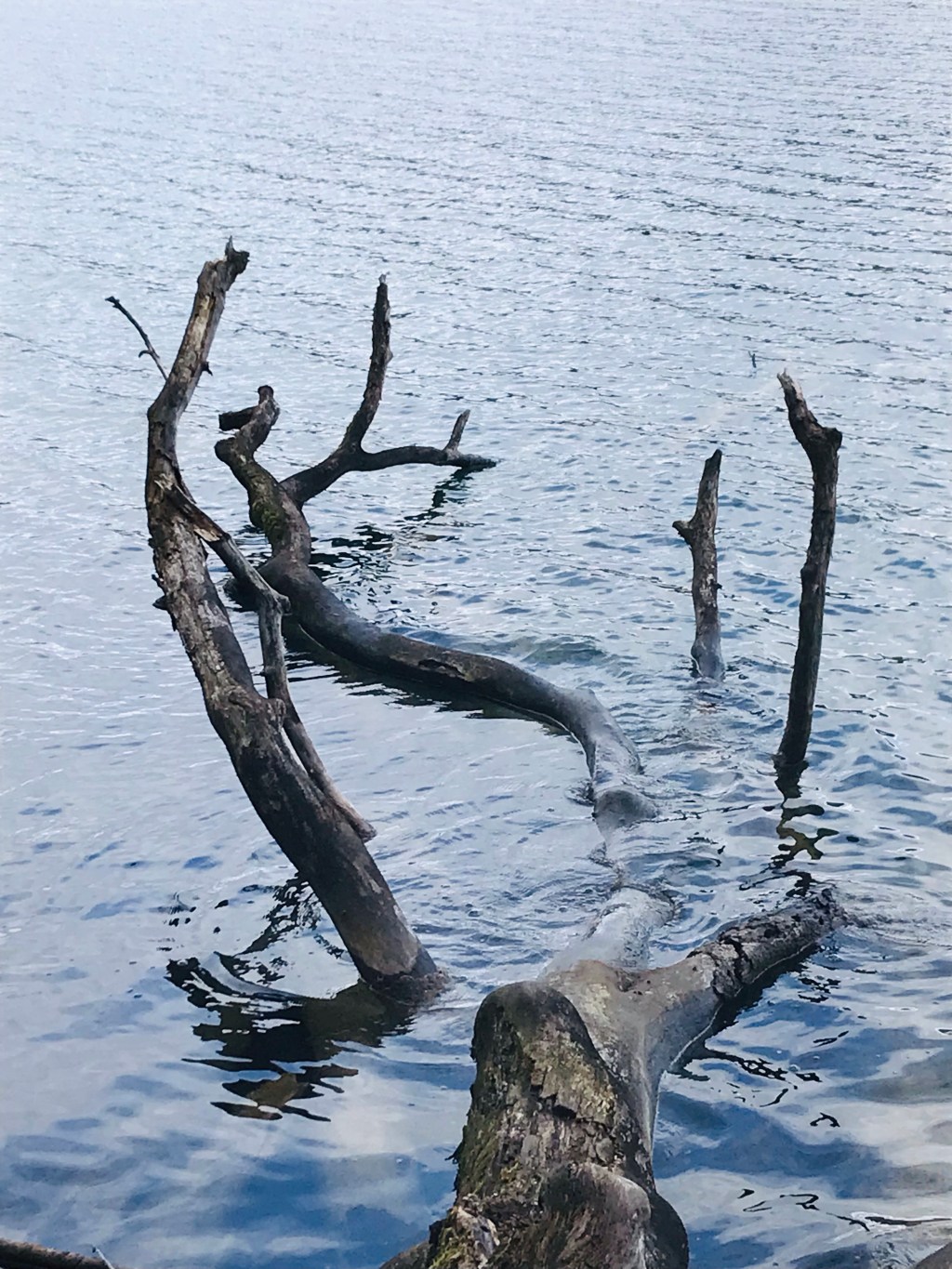 Dans le voyage&nbsp;d&rsquo;autres.