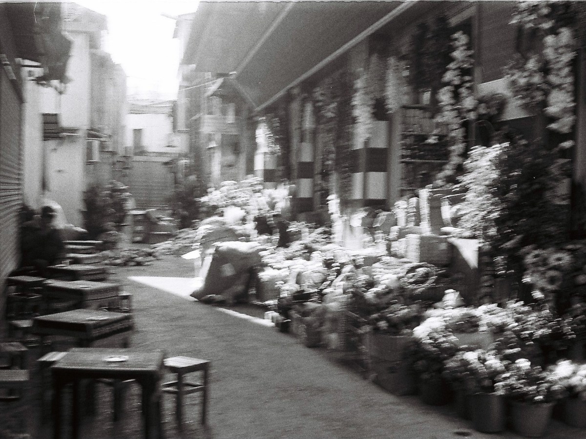 İstanbul tremblera-t-elle ?