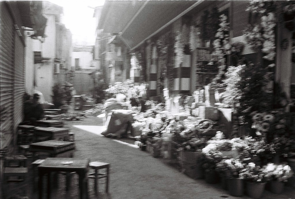 İstanbul tremblera-t-elle ?